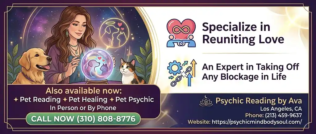 Banner Banner